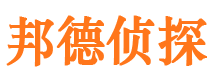 平果出轨调查